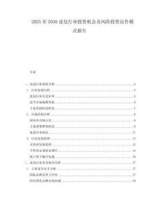 2025至2030皮包行業(yè)投資機(jī)會(huì)及風(fēng)險(xiǎn)投資運(yùn)作模式報(bào)告