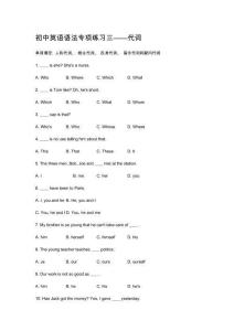 初中英語語法專項代詞