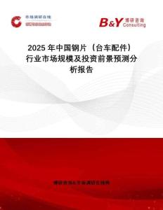 2025年中國鋼片（臺(tái)車配件）行業(yè)市場(chǎng)規(guī)模及投資前景預(yù)測(cè)分析報(bào)告