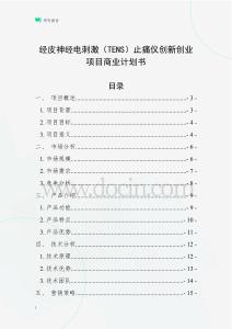 經皮神經電刺激（TENS）止痛儀創新創業項目商業計劃書