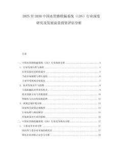2025至2030中國水管路檢漏系統(tǒng)（LDS）行業(yè)深度研究及發(fā)展前景投資評估分析