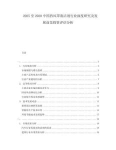 2025至2030中國(guó)擋風(fēng)罩清潔劑行業(yè)深度研究及發(fā)展前景投資評(píng)估分析