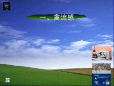 禽流感