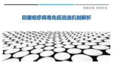 陰囊皰疹病毒免疫逃逸機(jī)制解析最佳分析