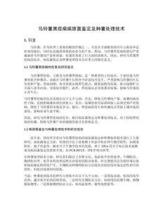 马铃薯黑痣病病原菌鉴定及种薯处理技术