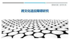 跨文化适应障碍研究最佳分析