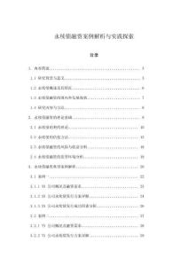 永續債融資案例解析與實踐探索