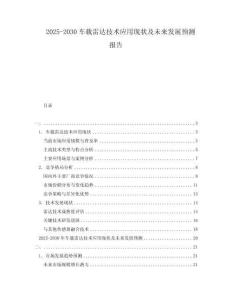 2025-2030車載雷達(dá)技術(shù)應(yīng)用現(xiàn)狀及未來發(fā)展預(yù)測報告