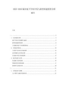 2025-2030城市地下空間開發與新型基建投資分析報告