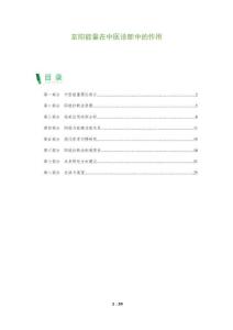 至陽能量在中醫(yī)診斷中的作用-洞察及研究