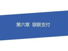 電子支付 課件  第6章  銀聯(lián)支付