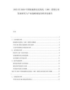 2025至2030中國(guó)陸地移動(dòng)無線電（LMR）系統(tǒng)行業(yè)發(fā)展研究與產(chǎn)業(yè)戰(zhàn)略規(guī)劃分析評(píng)估報(bào)告