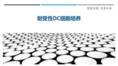 耐受性DC細(xì)胞培養(yǎng)最佳分析