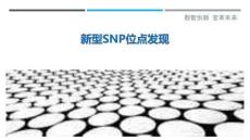 新型SNP位點發現最佳分析