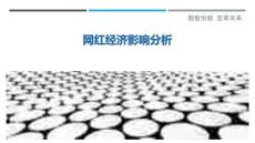 網(wǎng)紅經(jīng)濟(jì)影響分析最佳分析