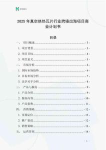 2025年真空絕熱瓦片行業(yè)跨境出海項(xiàng)目商業(yè)計(jì)劃書