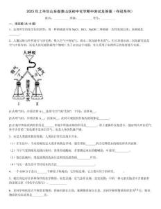 2025年上半年山東省萊山區初中化學期中測試及答案（奪冠系列）