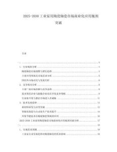 2025-2030工業(yè)泵用陶瓷軸套市場商業(yè)化應(yīng)用瓶頸突破