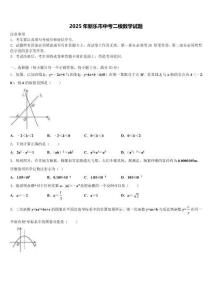2025年新樂市中考二模數學試題含解析