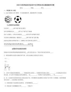 2025年陜西省扶風縣初中化學期末測試真題題庫完整