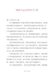 2025年gps軟件實習心得