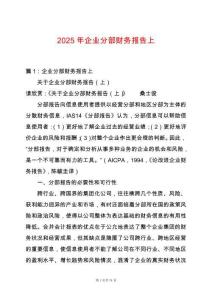 2025年企業(yè)分部財(cái)務(wù)報(bào)告上