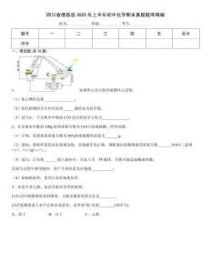 四川省德昌縣2025年上半年初中化學(xué)期末真題題庫(kù)精編