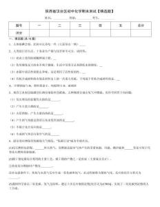 陜西省漢臺區(qū)初中化學(xué)期末測試【精選題】