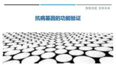 抗病基因的功能驗證最佳分析