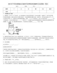 2025年下半年湖南省永興縣初中化學期末測試題庫大全及答案（奪冠）