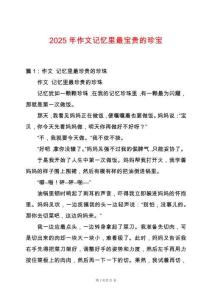 2025年作文記憶里最寶貴的珍寶