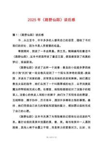 2025年《路野仙蹤》讀后感