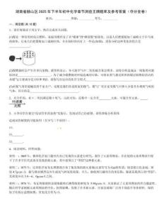 湖南省赫山區(qū)2025年下半年初中化學(xué)章節(jié)測驗(yàn)王牌題庫及參考答案（奪分金卷）