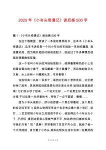 2025年《小布頭奇遇記》讀后感500字
