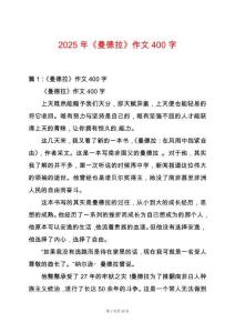 2025年《曼德拉》作文400字
