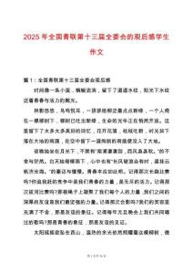 2025年全國青聯(lián)第十三屆全委會(huì)的觀后感學(xué)生作文