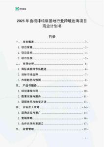2025年曲棍球培訓(xùn)基地行業(yè)跨境出海項(xiàng)目商業(yè)計(jì)劃書
