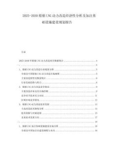 2025-2030船舶LNG動力改造經濟性分析及加注基礎設施建設規劃報告