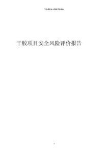 2023年干膠項目安全風險評價報告
