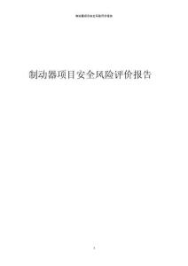 制動器項目安全風(fēng)險評價報告