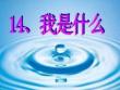 《我是什么》