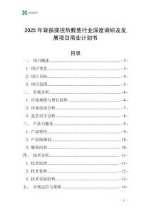 2025年背部揉捏熱敷墊行業(yè)深度調(diào)研及發(fā)展項(xiàng)目商業(yè)計(jì)劃書(shū)