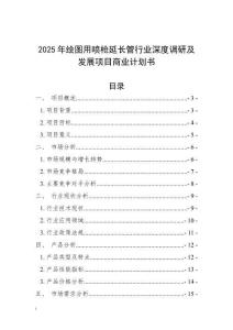 2025年繪圖用噴槍延長管行業深度調研及發展項目商業計劃書