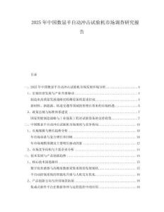 2025年中國數顯半自動沖擊試驗機市場調查研究報告