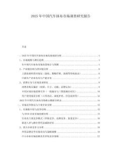 2025年中國汽車抹布市場調查研究報告