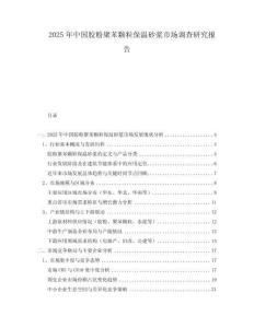 2025年中國膠粉聚苯顆粒保溫砂漿市場調查研究報告