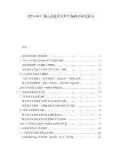 2025年中國掛式電面火爐市場調查研究報告