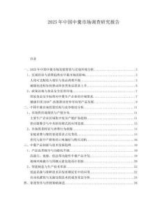2025年中國(guó)中羹市場(chǎng)調(diào)查研究報(bào)告