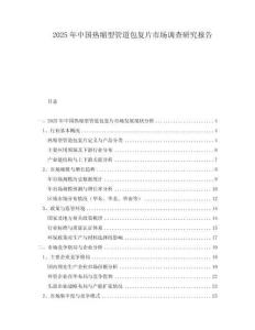 2025年中國熱縮型管道包復片市場調查研究報告