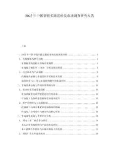 2025年中國智能多路巡檢儀市場調查研究報告